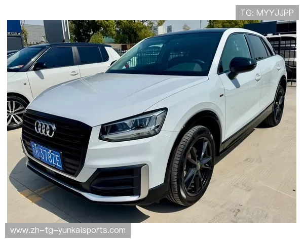 17万就能买到的德系豪华SUV!新款奥迪Q2L上市