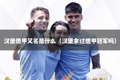 汉堡德甲又名是什么（汉堡拿过德甲冠军吗）