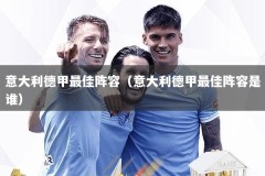 意大利德甲最佳阵容（意大利德甲最佳阵容是谁）