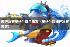 欧冠决赛英格兰荷兰阵容（英格兰欧洲杯决赛阵容）