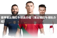 德甲莱比锡红牛球员介绍（莱比锡红牛球队介绍）