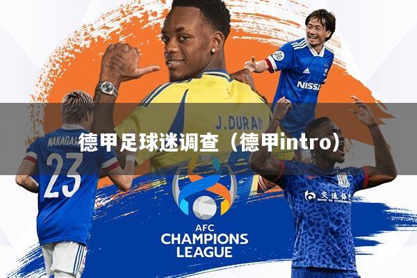 德甲足球迷调查(德甲intro)