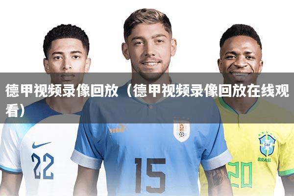 德甲视频录像回放(德甲视频录像回放在线观看)